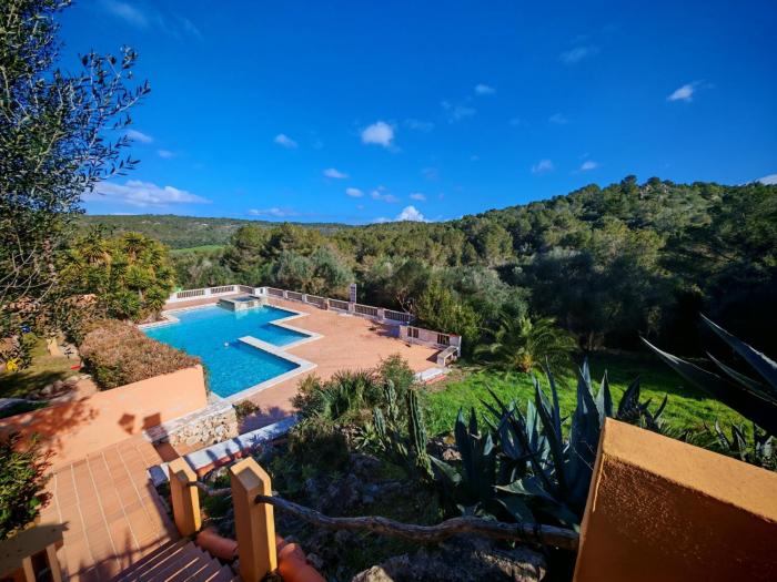 Petit Paradis Apartment