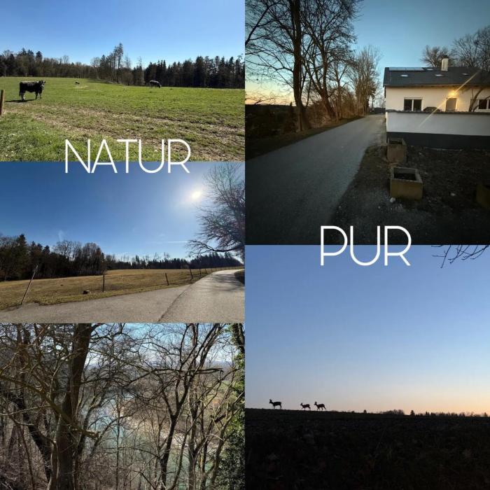 Ferienhaus Natur Pur