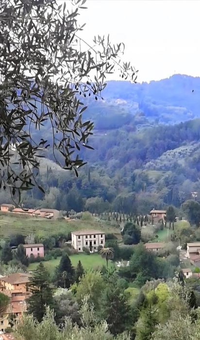 Villa con parco e piscina-Camaiore