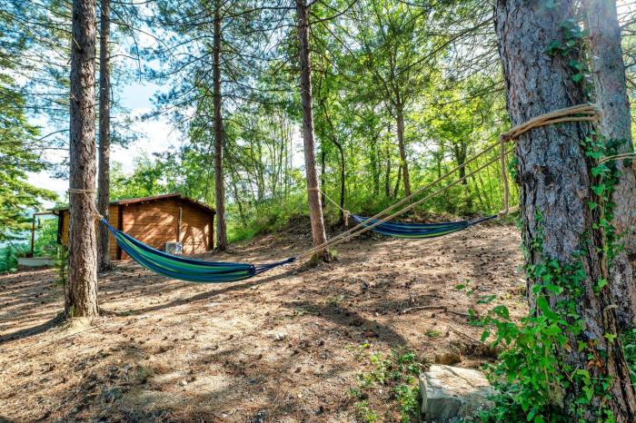 La casetta nel bosco