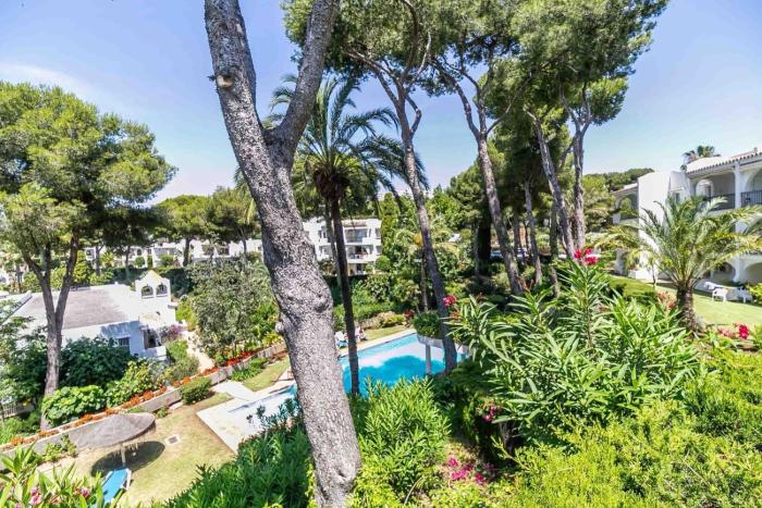 Miraflores Resort Luxury Chalet