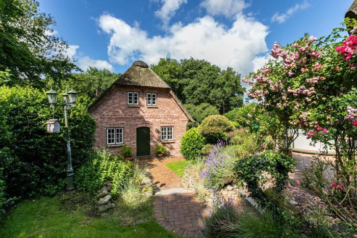 My Little Rose Cottage