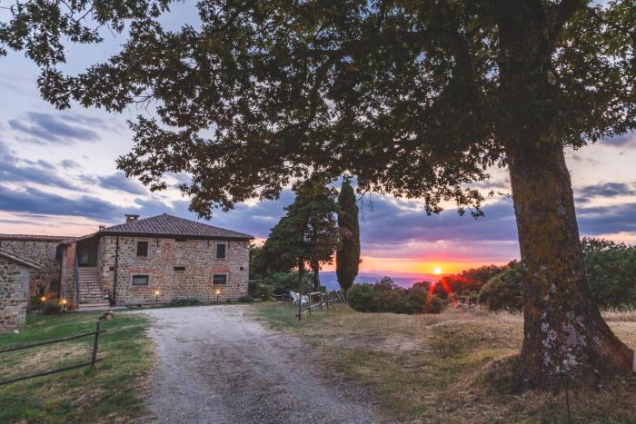 Masseria del bosco Palazzone