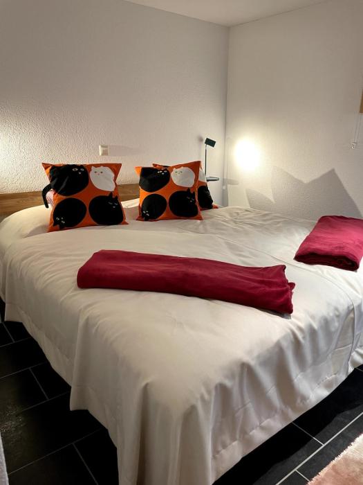 Cozy Waldshut Hideaway close to Switzerland