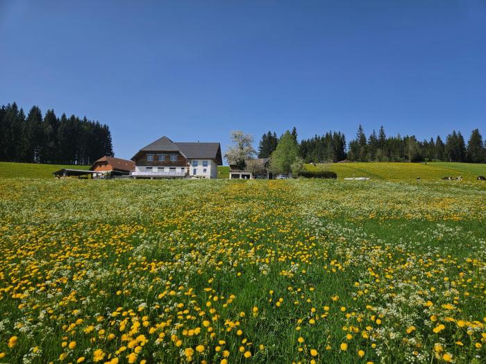 Lorenzenhäusle Titisee-Neustadt
