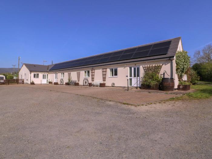 The Turbles - Wagtail