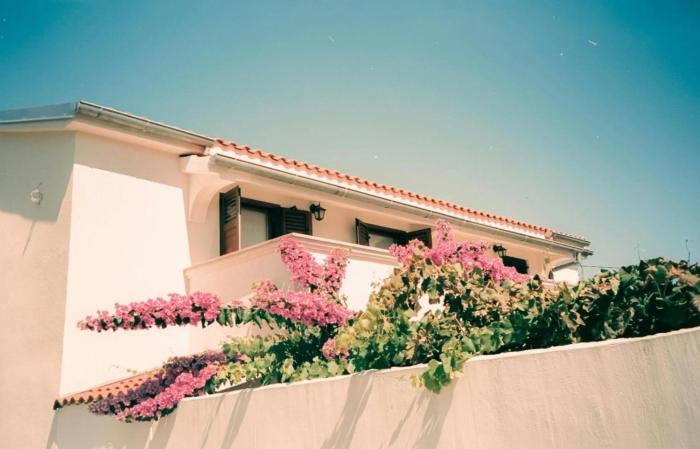 Casa vacanza ippocampo