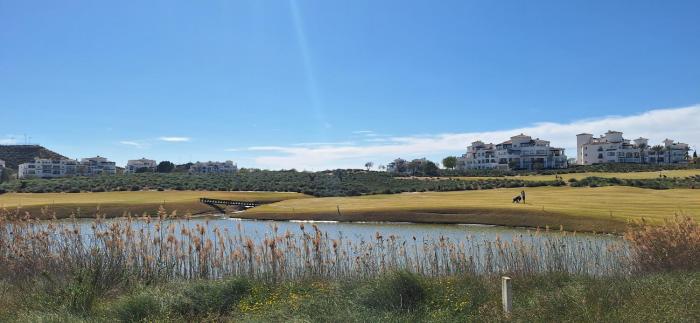 Vista al golf y piscina
