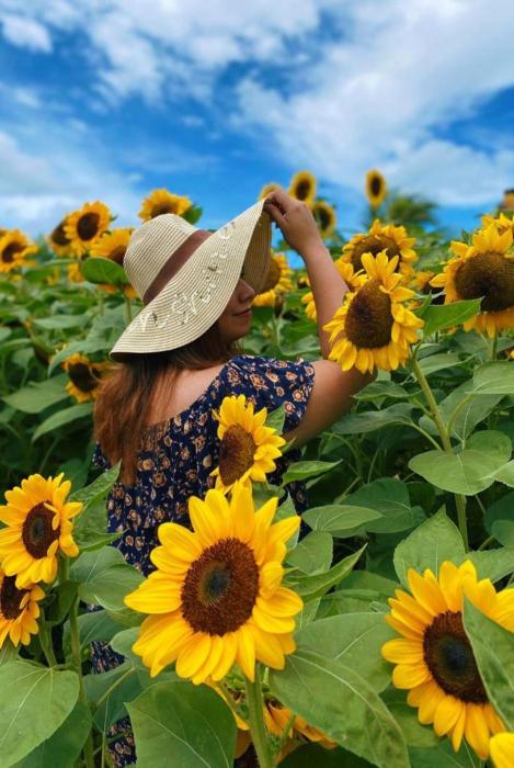 Hotel Girasol