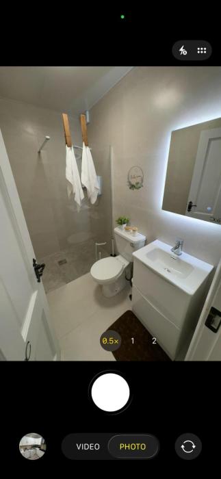 Stalks and stems Apartment