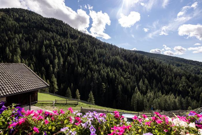 Apt Talblick Hinterproslhof