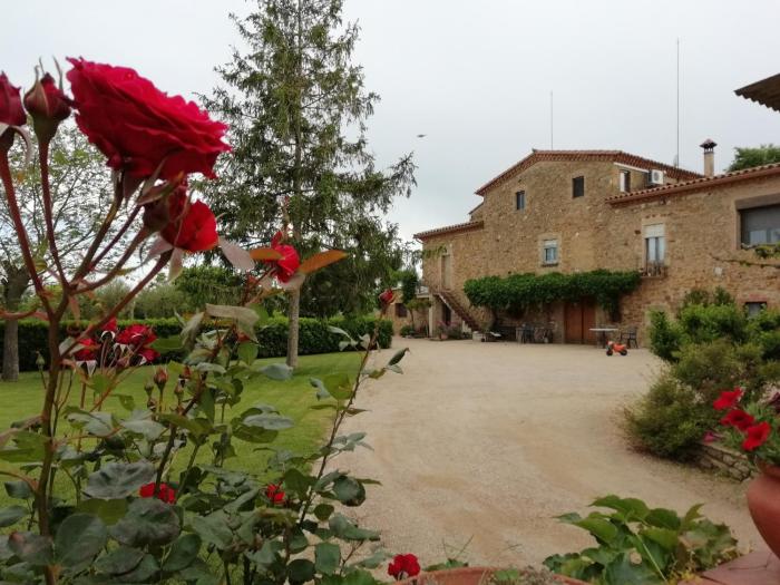 Mas Pareta - La Morera