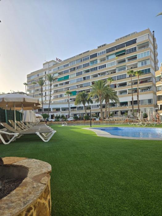 Loft Koka Alto