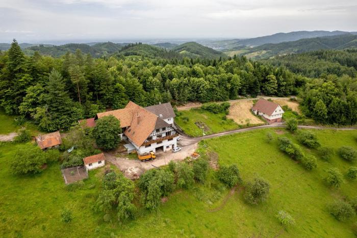 Grüner Ausblick