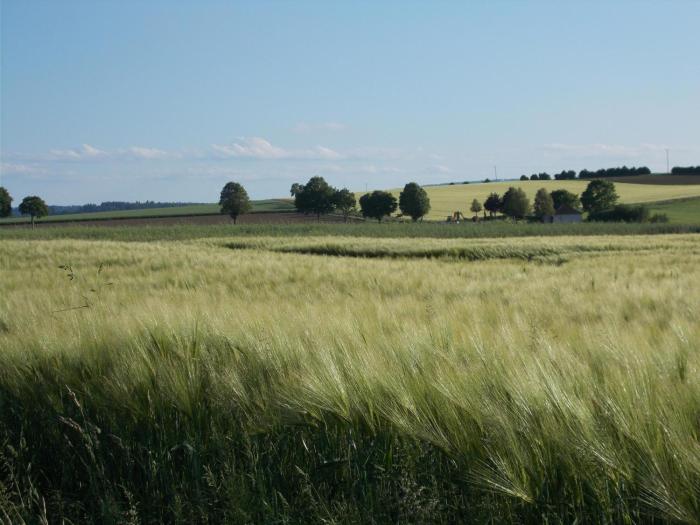 Natur Und Ruhe - Für Ruhe Suchende
