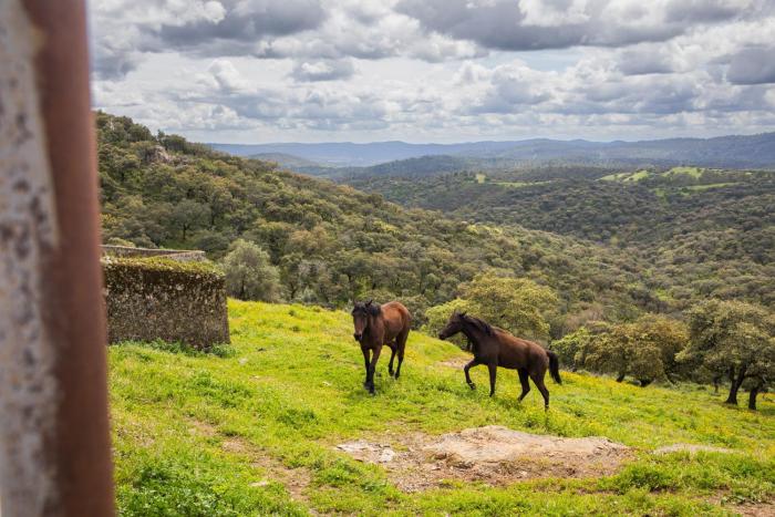 Finca la Arborea