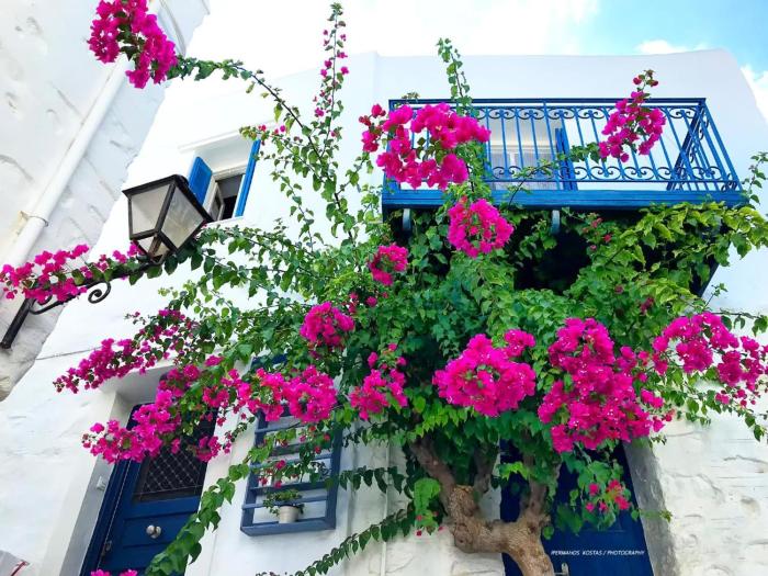 The Balcony Of Bougainvillea