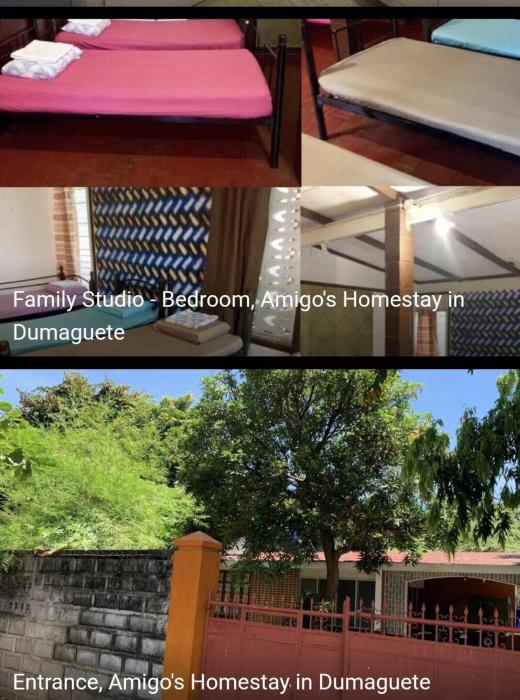Amigos Homestay