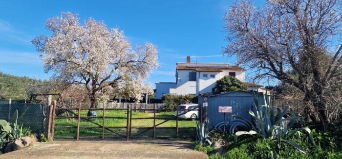 Country Road Take Me Home