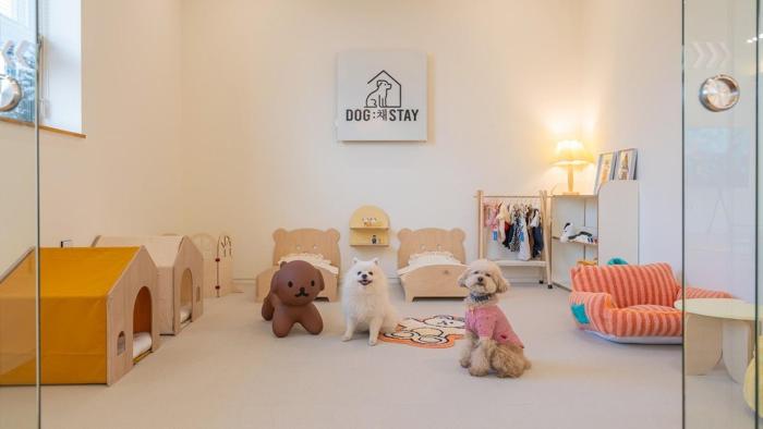 Private Pet Stay Gyeongju