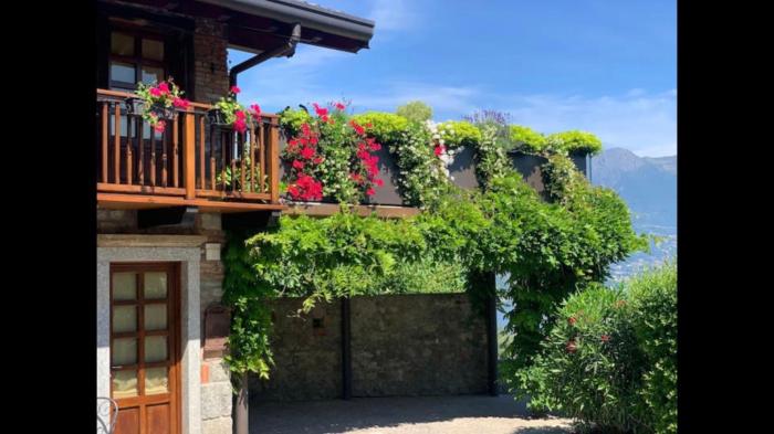 Splendido cottage Lakeview