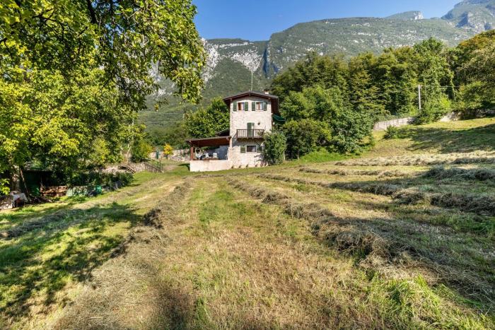 Panoramic Green Studio