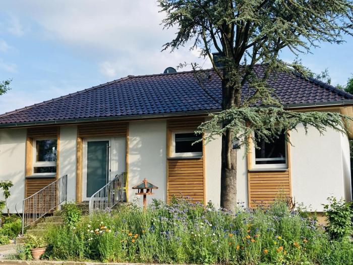 Ferienhaus Urwald