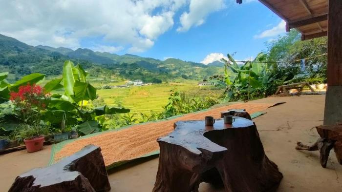 Terrace Mu Cang Chai Homestay