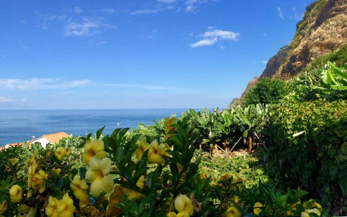 Slice Of Heaven- Dream Holiday Home