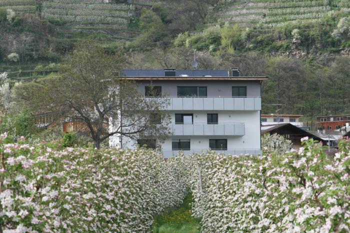 Waalhof Ferienwohnung Apfelblüte