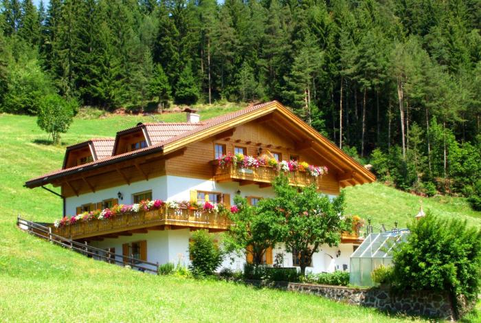 Bergblick App Lärche