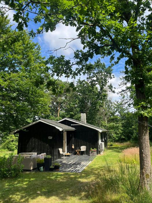 Idyllic Holiday Home With Forest View
