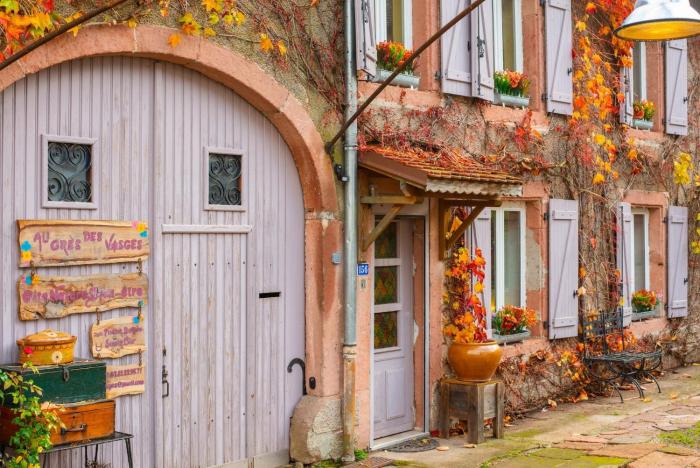 Gîte bienêtre de caractère au Grès des Vosges avec