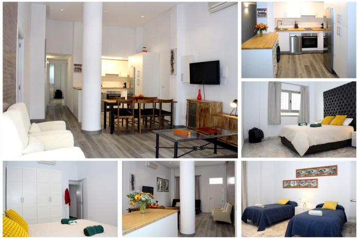 Espacioso Apartamento en Triana