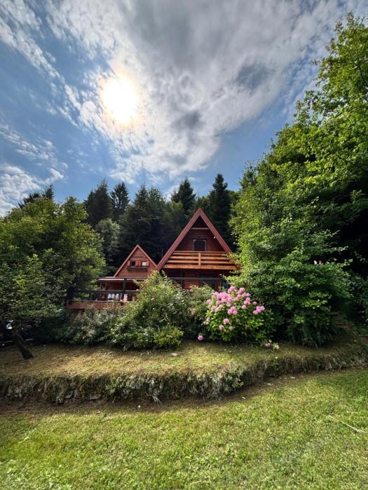 Twin Forest, riverside cabin