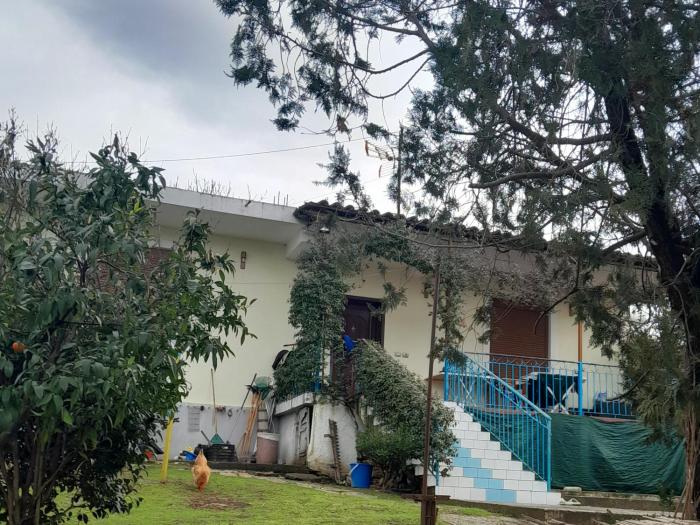 Vila Musta