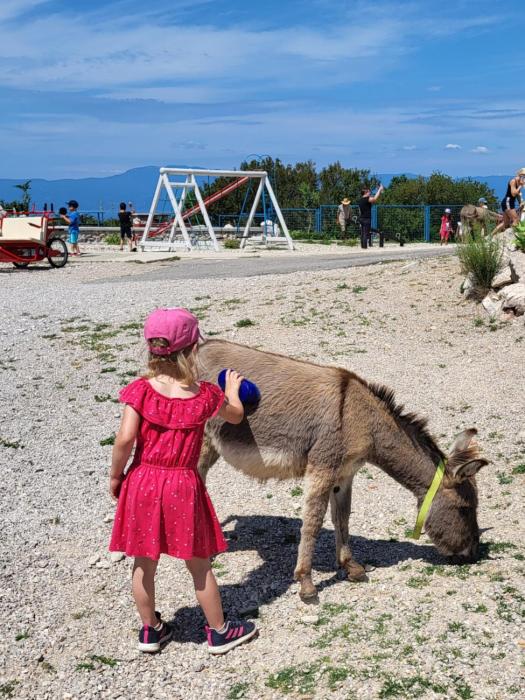 Villa Suzi - Family Farm Stay with Donkeys, Pool and Sea View near Rijeka