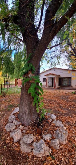 Casa de campo Alma Rural