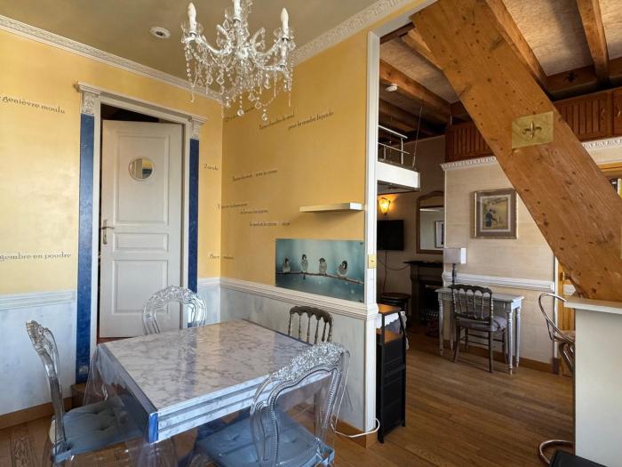 Appartement charmant, animaux OK, vue montagnes - 2 pers. - FR-1-555-128