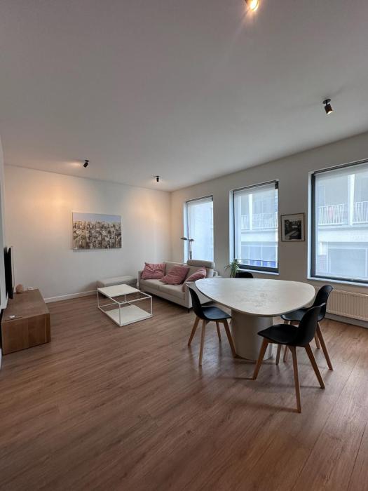 Bright, Spacious and Cozy Apartment Near the MAS