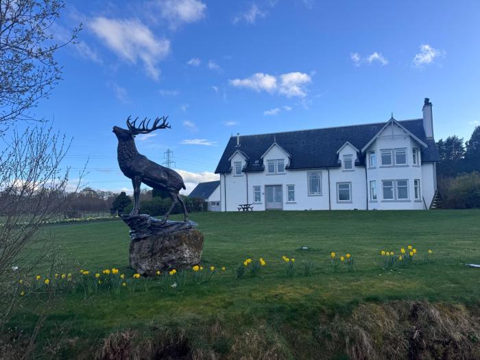 Daviot Lodge