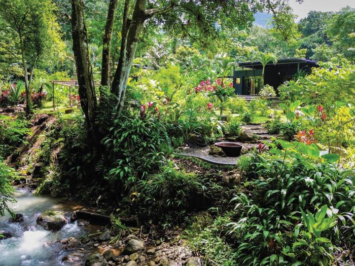 White Noise Butterfly Sanctuary & River Retreat - Butterfly Bungalow