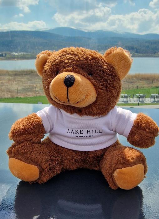 Lake HL Studio 04