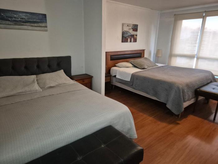Departamento camas dobles excelente conectividad Providencia