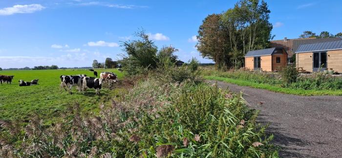 Buorkerijhûske A - Tussen Wad en Weide