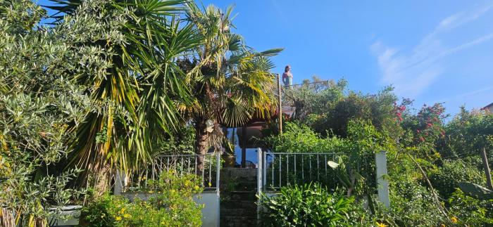 Quinta do Convento