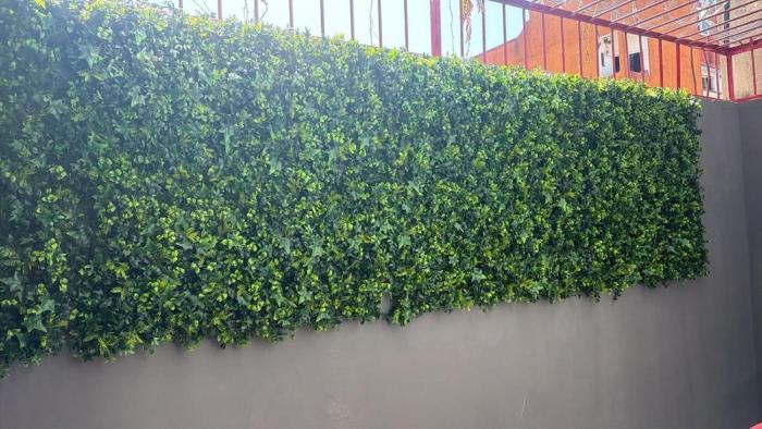 Hidden Gem Studio in the heart of Playa del Carmen