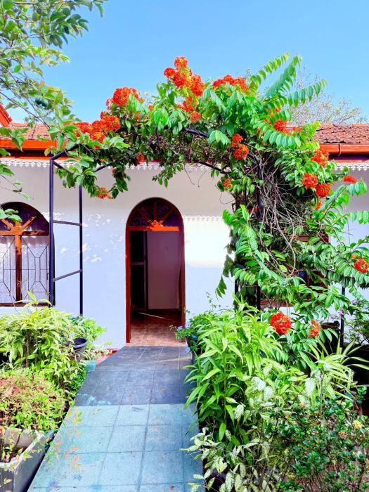 Garden Cottage Homestay BB