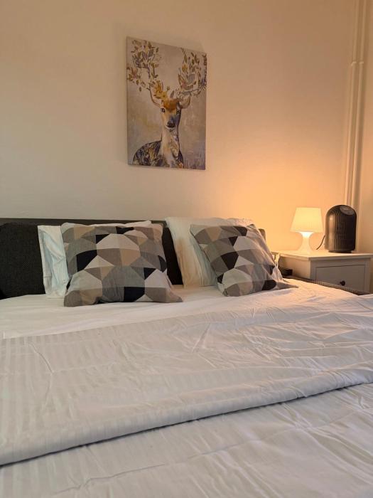 3-Bed Apartment Central Zurich