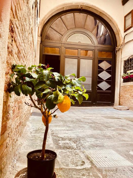 Venice Palace Luxury Suites